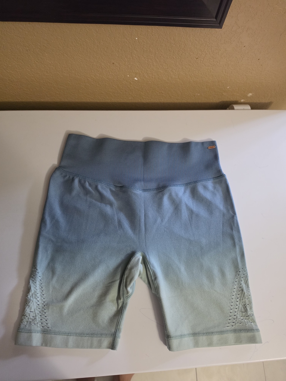 Victoria's Secret Pink Ombre Light Blue Seamless Bike Shorts
